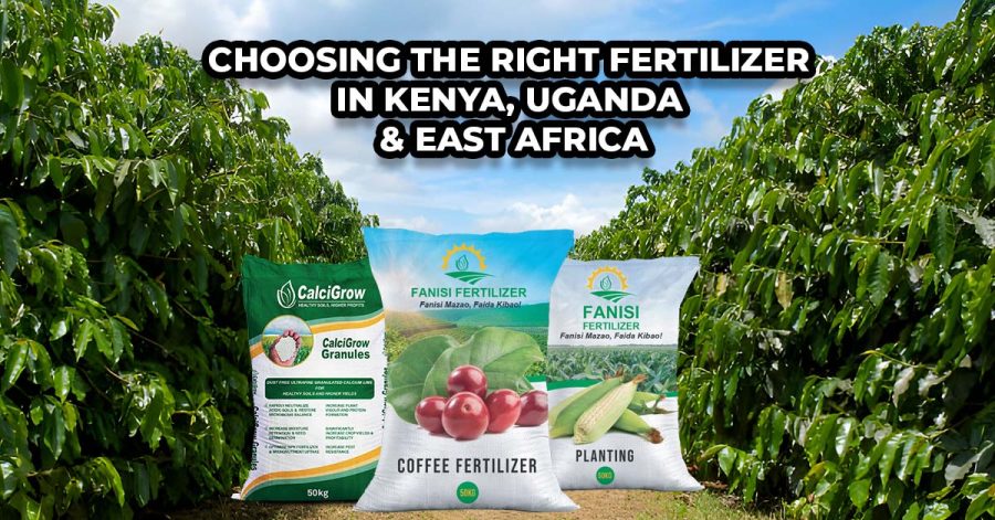 Choosing the right fertilizer