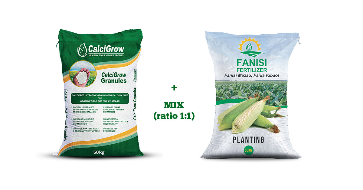 Best Application Rates of Fertilizer in Kenya Optimizing Crop Health