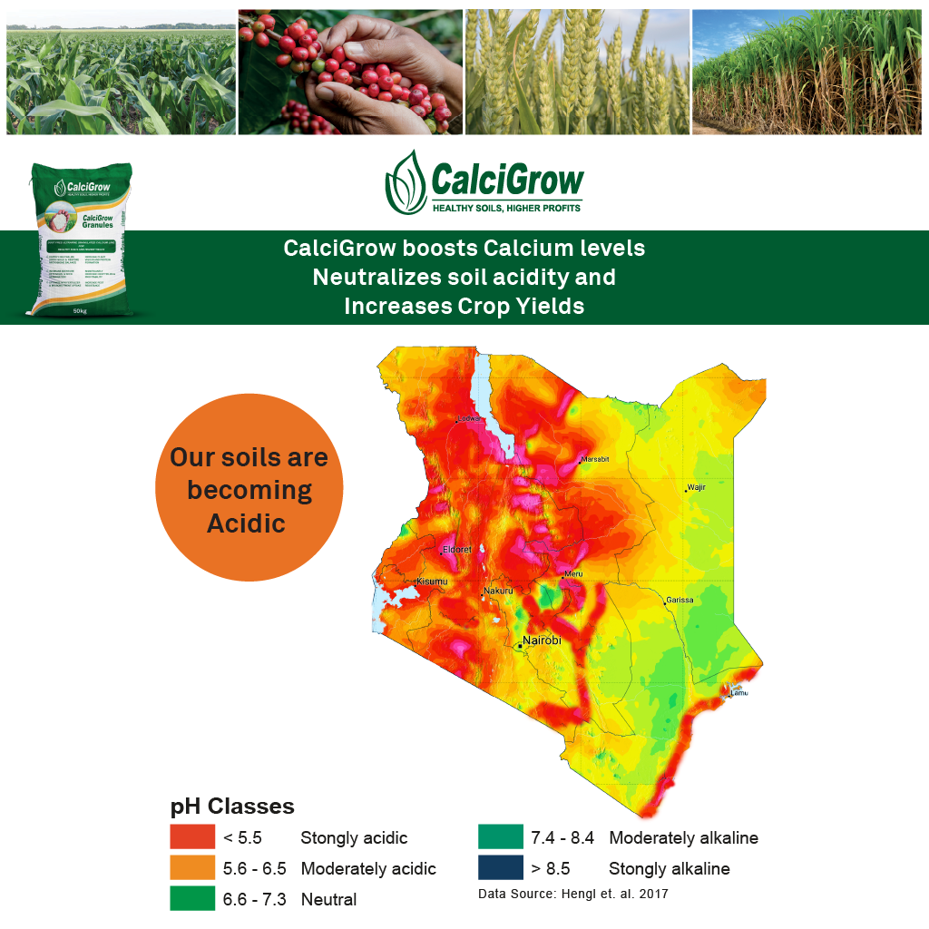 Kenyan-soil-map