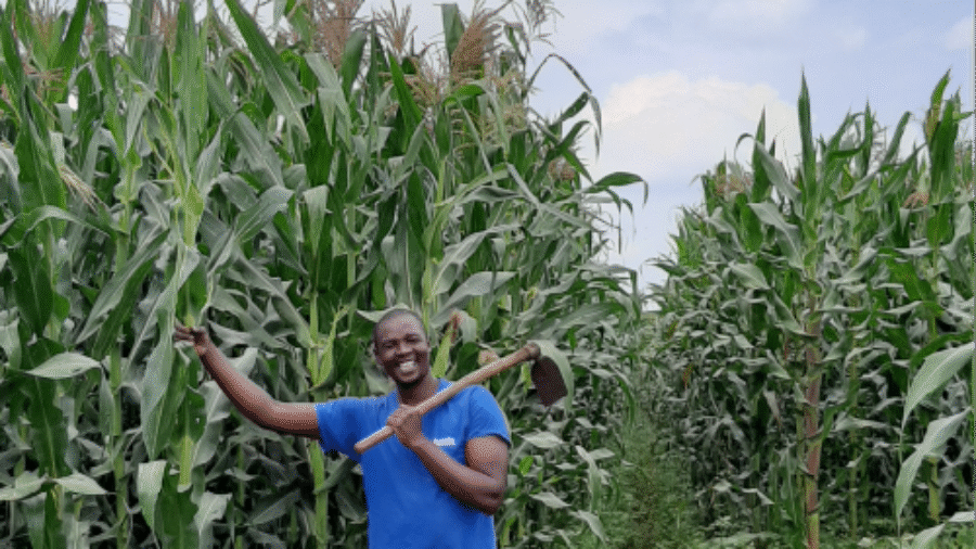 Soil health