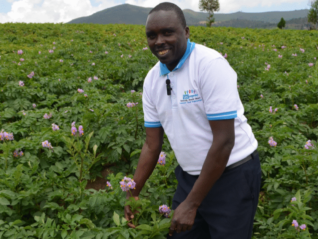 High-Yield Potatoes Start with Healthy Soils