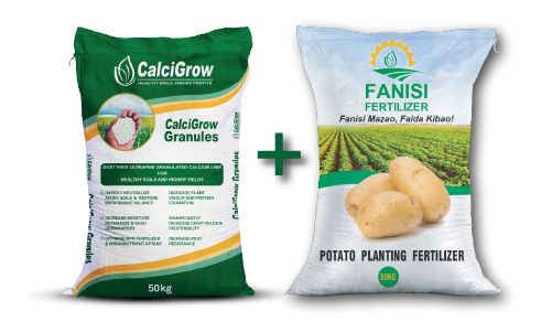 CalciGrow bag mixed with fanisi potato fertilizer