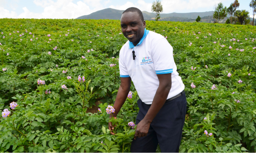 Farmer testimonial for potato farming